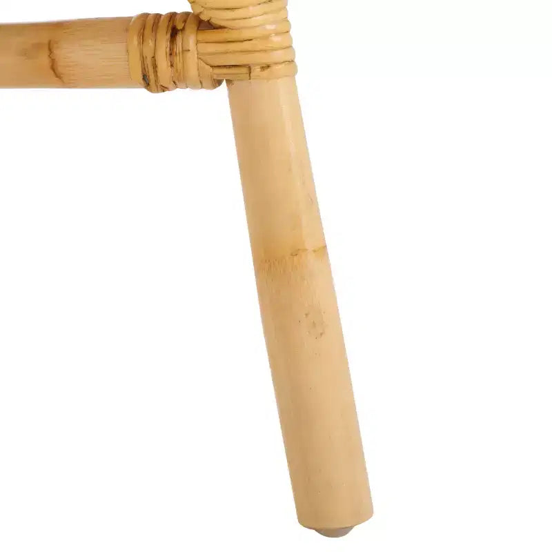 Poltrona accento Cosette con cuscino - ACH6526